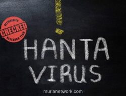 Kapal Pesiar Mewah Berlabuh di Tenerife Setelah Sebulan Dikarantina Akibat Hantavirus