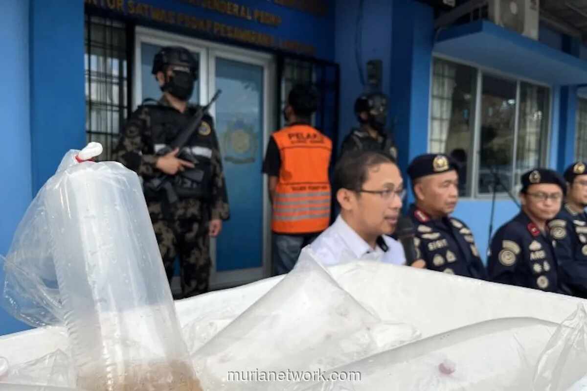 KKP Gagalkan Penyelundupan 31.255 Benih Bening Lobster di Pesisir Lampung, Satu Terduga Pelaku Diamankan
