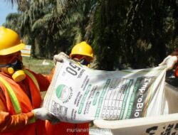 AEP Nusantara Holdings Kuasai 98,26% Saham Pinago Utama, Wajib Lakukan Tender Wajib