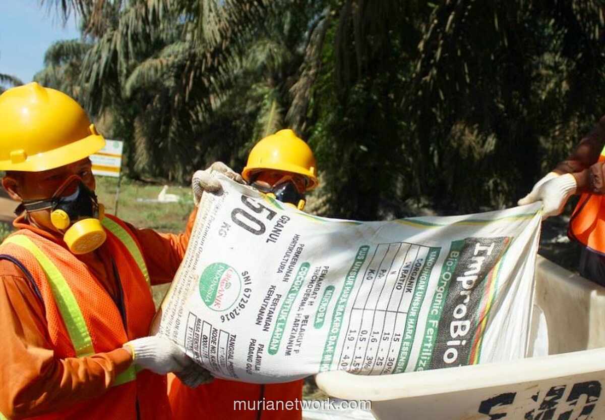 AEP Nusantara Holdings Kuasai 98,26% Saham Pinago Utama, Wajib Lakukan Tender Wajib