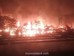 Kebakaran Peternakan Ayam di Bogor Hanguskan 60 Ribu DOC dan 13 Domba, Kerugian Capai Rp500 Juta