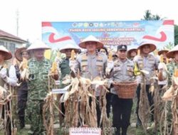 Polda Riau Panen 117,3 Ton Jagung dari Lahan 58,65 Hektare Dukung Swasembada Pangan Nasional