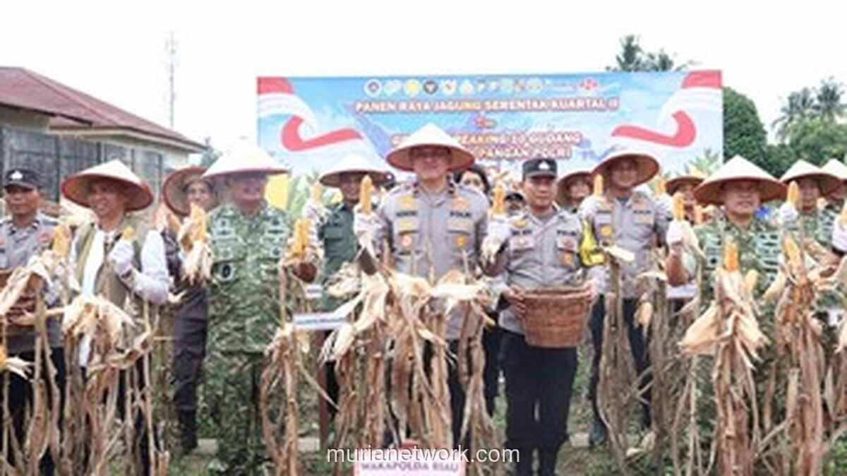 Polda Riau Panen 117,3 Ton Jagung dari Lahan 58,65 Hektare Dukung Swasembada Pangan Nasional