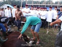 Polda Riau Salurkan Puluhan Sapi Kurban Bantuan Kapolri dan Kapolda ke Pondok Pesantren Pekanbaru