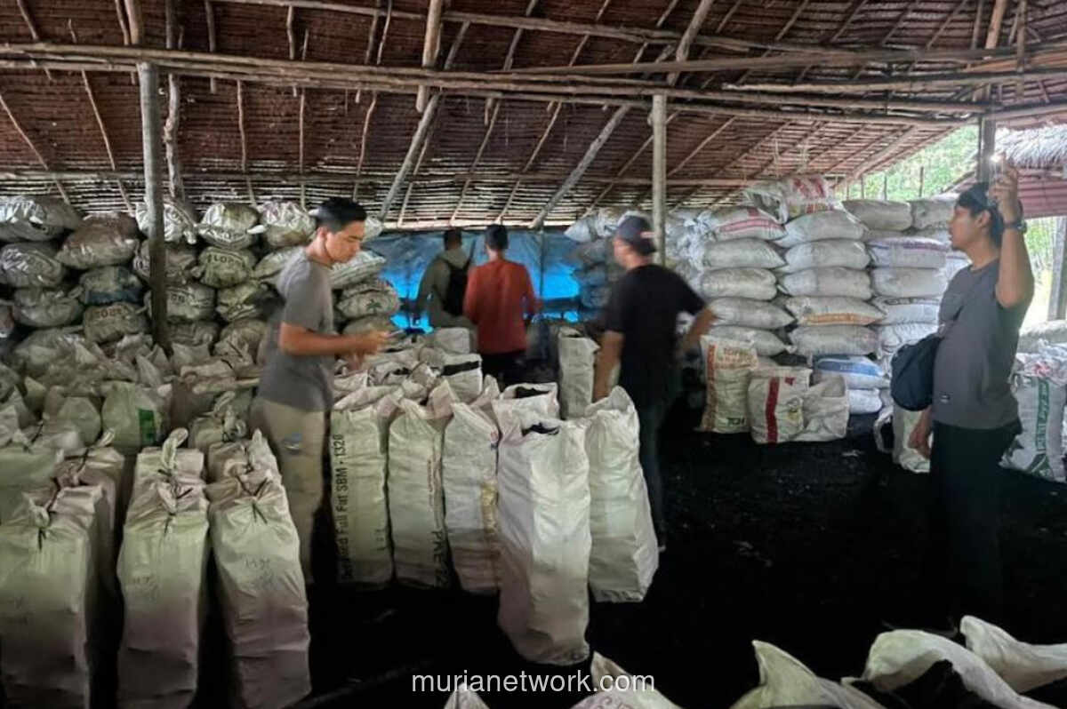 Polda Riau Bongkar Perusakan Hutan Mangrove di Kepulauan Meranti, Sita Ribuan Karung Arang Bakau Ilegal