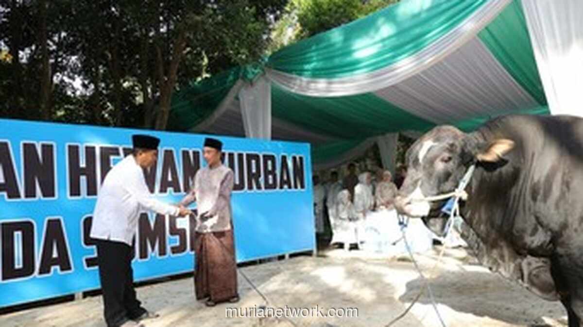 Polda Sumsel Salurkan 579 Hewan Kurban hingga Pelosok saat Idul Adha 1447 H