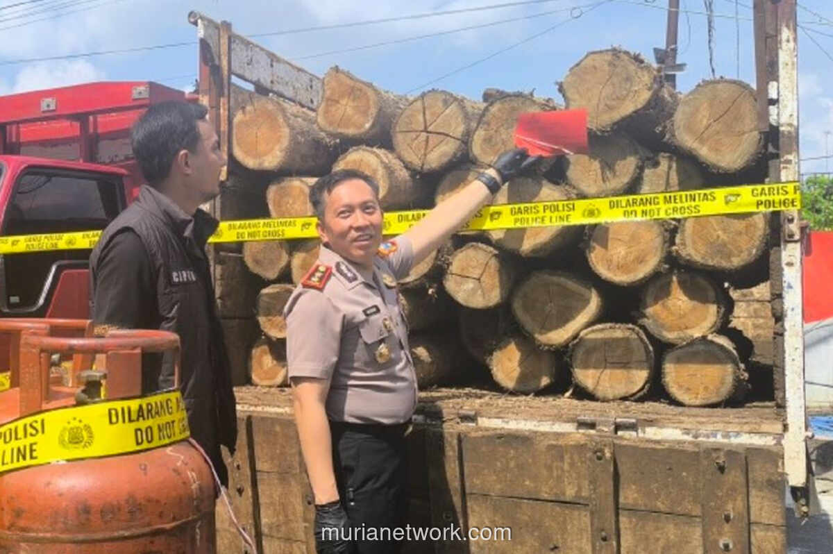 Polisi Bongkar Pembalakan Liar di Hutan Perhutani Bojonegoro, Satu Tersangka Diamankan