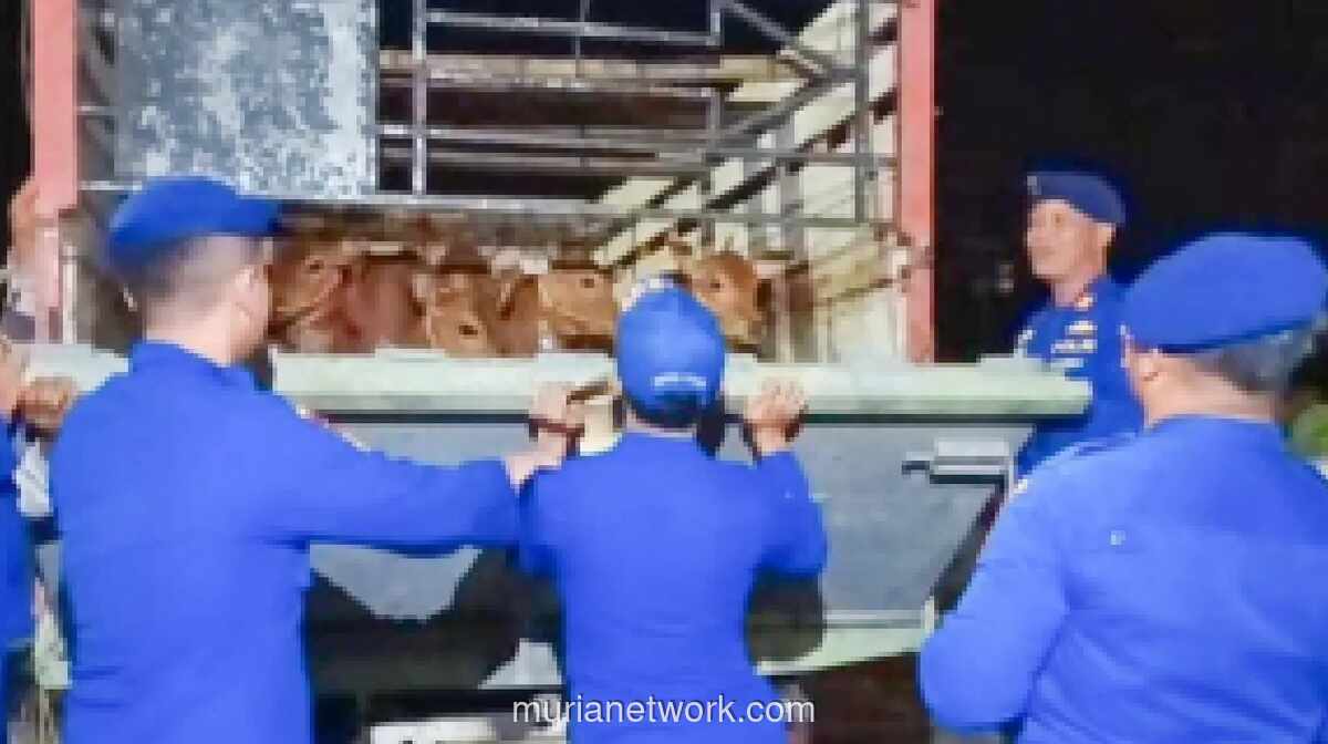 Polisi Air dan Udara Situbondo Perketat Pengawasan Lalu Lintas Ternak Jelang Iduladha