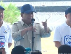 Prabowo Panen Raya Udang Vaname di Kebumen, Sebut Sentra Tambak Ini Berdaya Saing Global