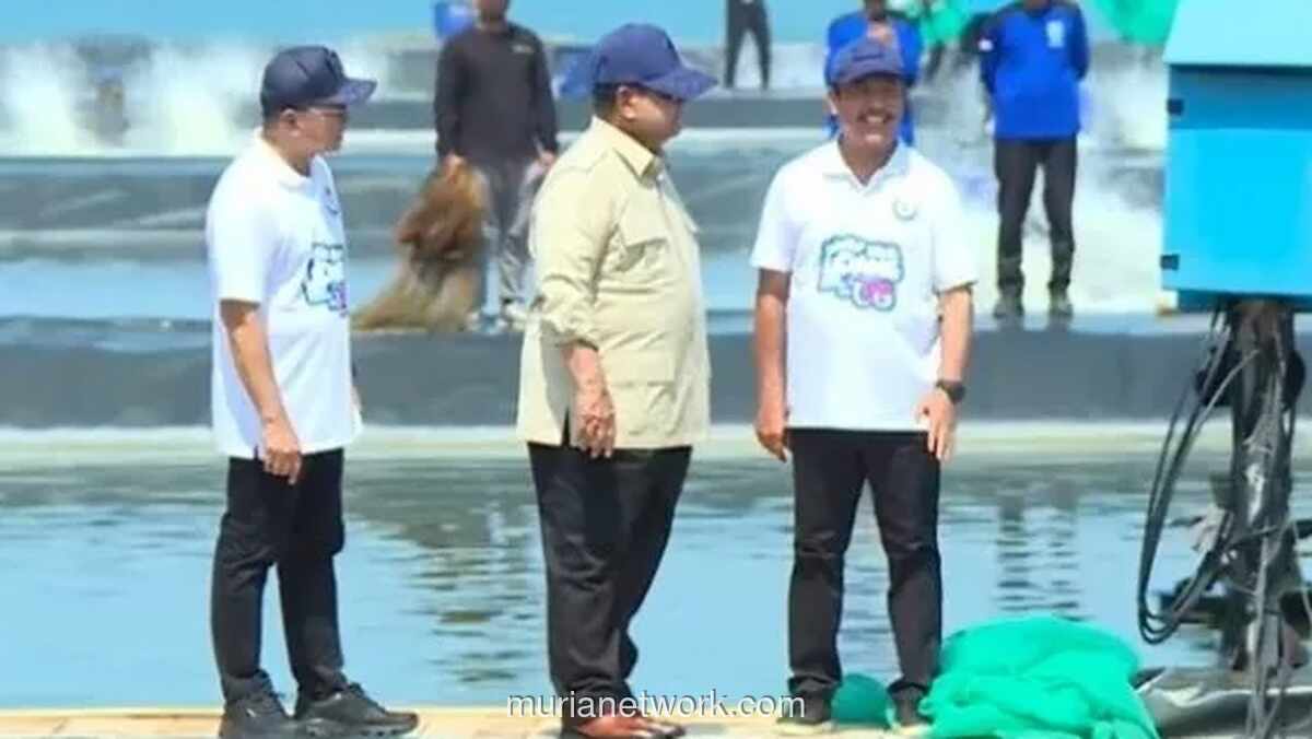 Presiden Prabowo Panen Raya Udang Vaname di Tambak Modern Kebumen, Target Capai 75 Ton