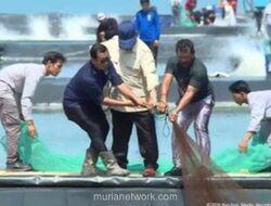 Presiden Prabowo Panen Raya Udang di Kebumen, Targetkan Indonesia Jadi Produsen Nomor Satu Dunia