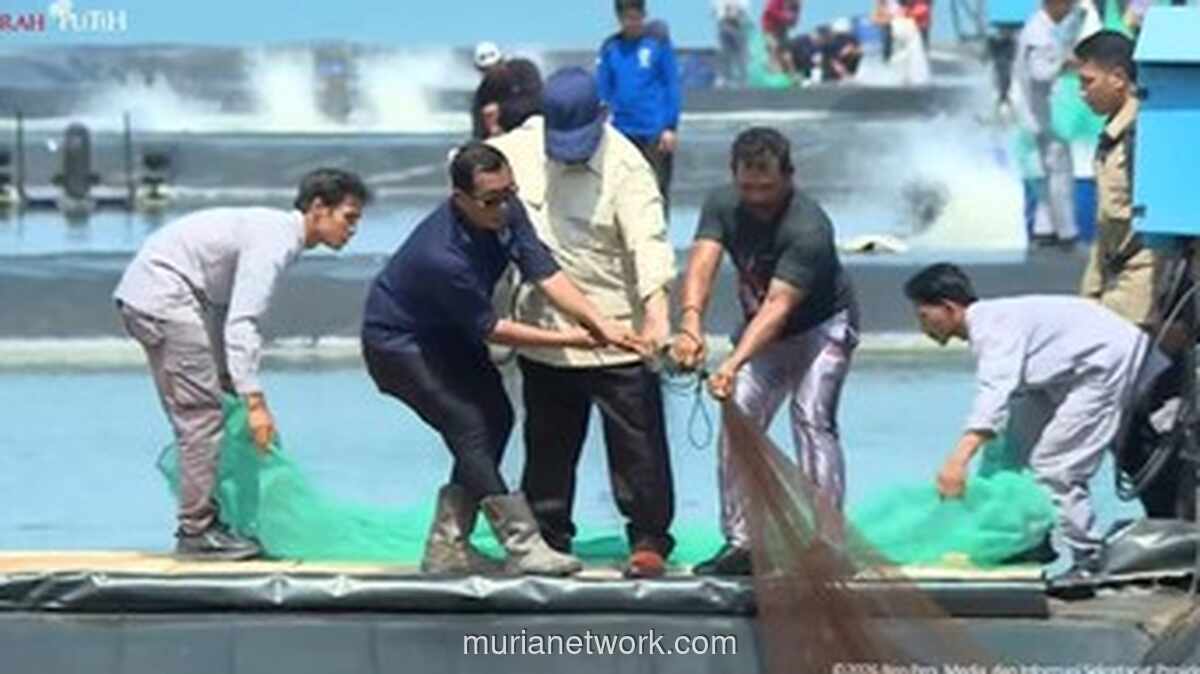 Presiden Prabowo Panen Raya Udang di Kebumen, Targetkan Indonesia Jadi Produsen Nomor Satu Dunia