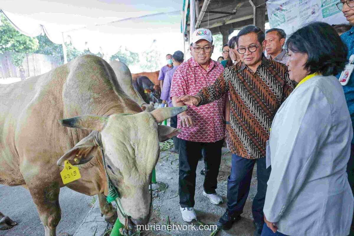 Harga Hewan Kurban di Jakarta Dipastikan Stabil Jelang Iduladha 2026