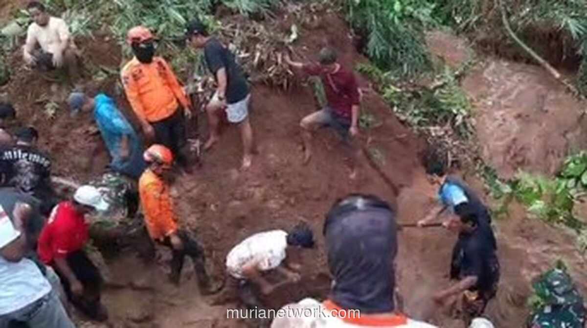 Warga Tertimbun Longsor saat Merapikan Bambu di Bogor, Tim SAR Masih Cari Korban