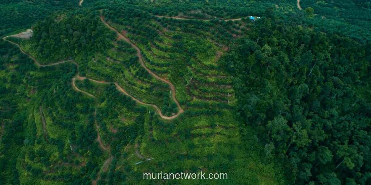 Pendapatan PSGO Tembus Rp2,55 Triliun di 2025, Laba Bersih Melonjak 26,3 Persen