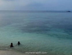 Anak-anak Pahawang Sambut Wisatawan dengan Aksi Menyelam Tanpa Alat, Jadi Atraksi Unik Sebelum Snorkeling