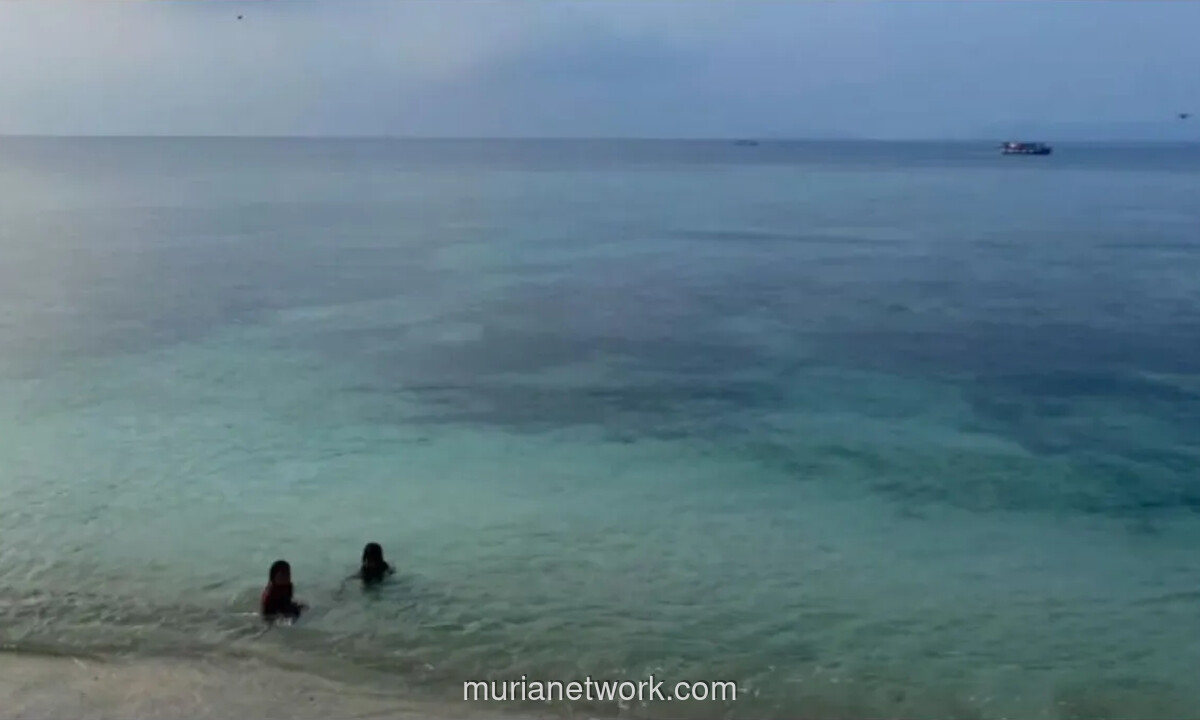 Anak-anak Pahawang Sambut Wisatawan dengan Aksi Menyelam Tanpa Alat, Jadi Atraksi Unik Sebelum Snorkeling