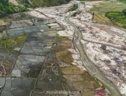Pemerintah Rehabilitasi 42.702 Hektare Sawah Rusak Akibat Bencana di Aceh, Sumut, dan Sumbar