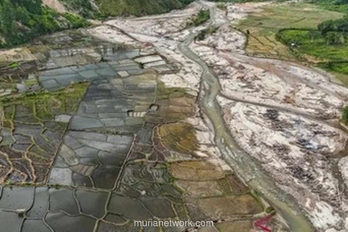 Pemerintah Rehabilitasi 42.702 Hektare Sawah Rusak Akibat Bencana di Aceh, Sumut, dan Sumbar