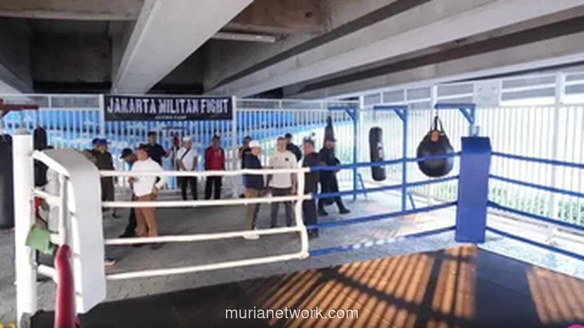 Kolong Flyover Pasar Rebo Disulap Jadi Ring Tinju dan Skatepark untuk Cegah Tawuran Remaja