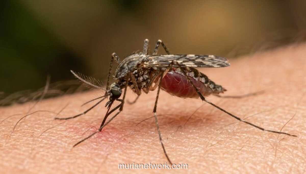 IDAI: Risiko Penularan Malaria Monyet di Perkotaan Sangat Rendah