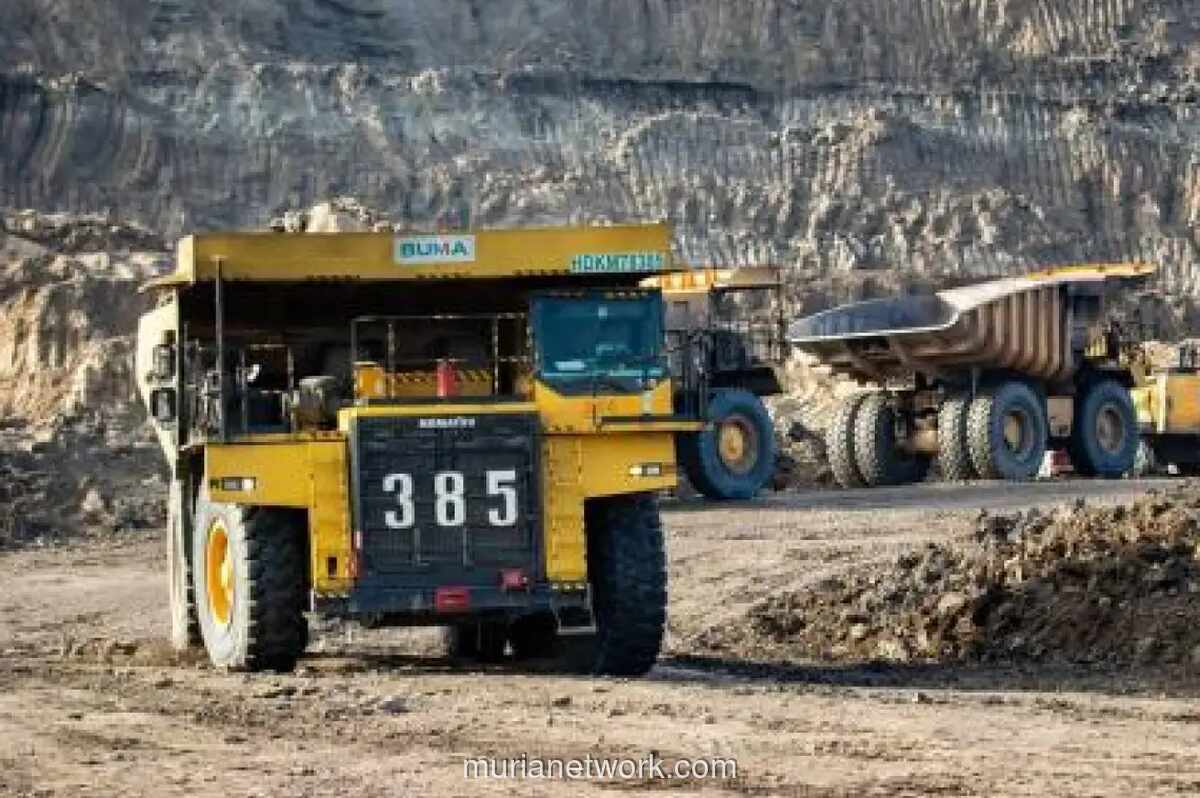 Rugi Bersih Buma Internasional (DOID) Susut 66 Persen di Kuartal I-2026, EBITDA Malah Melonjak 98 Persen