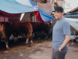 Sahroni Kurbankan 38 Sapi, Termasuk Satu Ekor Berat 1,2 Ton untuk Iduladha 2026