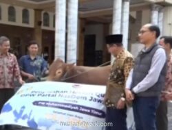 DPW NasDem Jatim Salurkan 155 Hewan Kurban ke Lembaga Keagamaan dan Komunitas Masyarakat