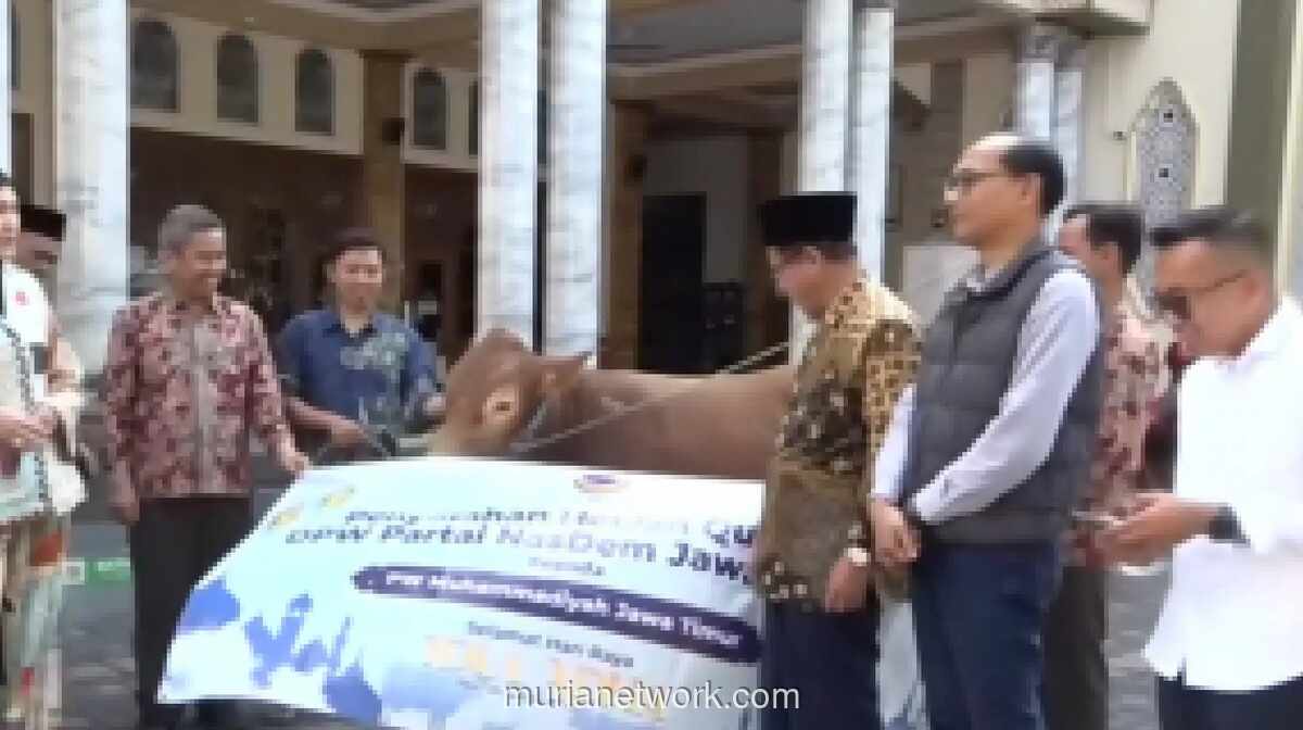 DPW NasDem Jatim Salurkan 155 Hewan Kurban ke Lembaga Keagamaan dan Komunitas Masyarakat