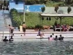 Sapi Kurban Lepas dan Lari ke Kolam Renang di Sidikalang, Pengunjung Berhamburan