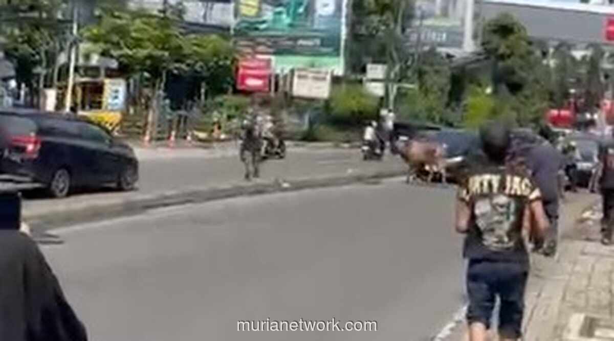 Sapi Kurban Lolos dari Ikatan, Berlari ke Jalan Raya di Ciputat Timur