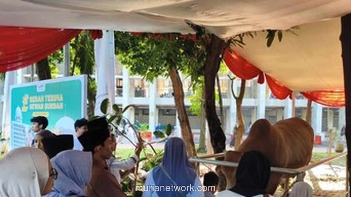Presiden Prabowo dan Wapres Gibran Serahkan Sapi Kurban ‘Si Loreng’ dan ‘Wirabumi’ ke Masjid Istiqlal