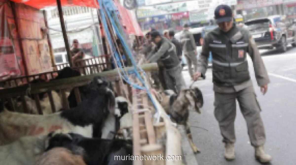 Satpol PP Jakarta Pusat Tertibkan Lapak Pedagang Hewan Kurban di Trotoar Tanah Abang dan Johar Baru