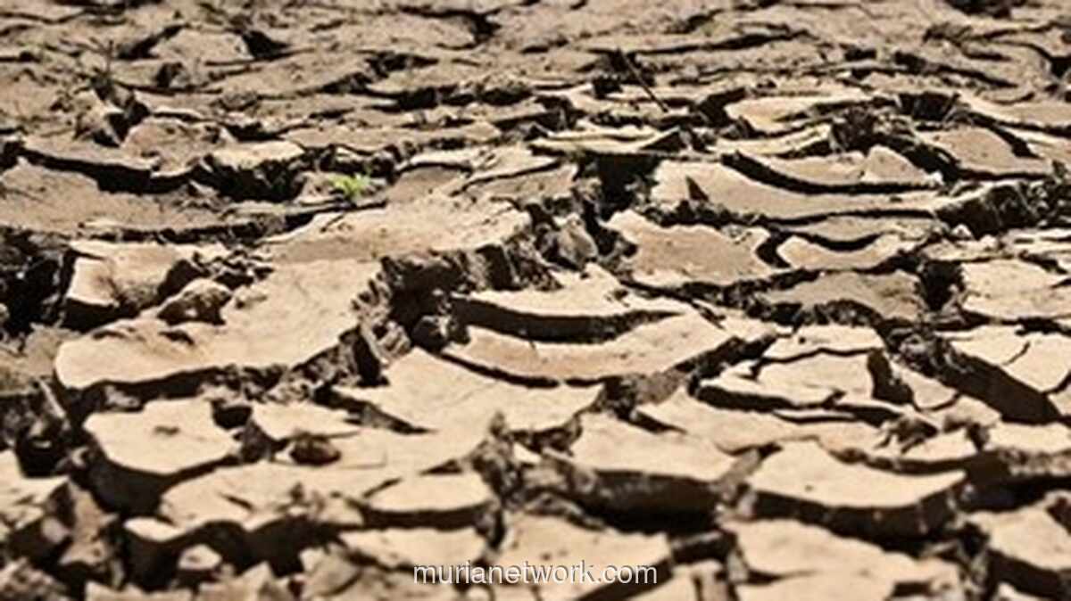 BMKG Peringatkan El Niño 2026 Berpotensi Sebabkan Kekeringan Panjang dan Krisis Pangan di Indonesia