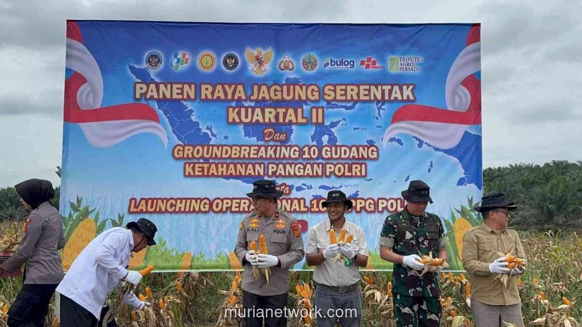 Panen Raya Jagung Serentak Kuartal II 2026 di Jambi, Kolaborasi Polri-Swasta Capai 569 Hektar Lahan Binaan