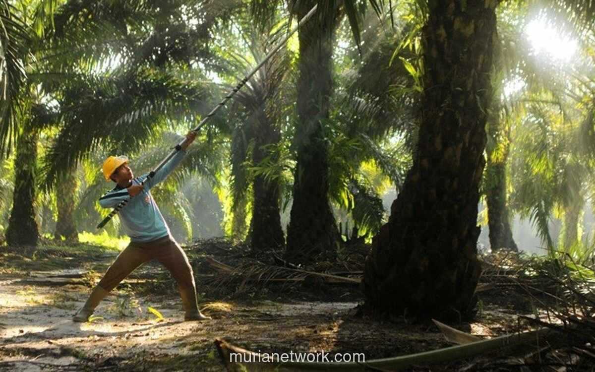 SMART Bagikan Dividen Rp775,5 Miliar, Melonjak 800 Persen dari Tahun Lalu