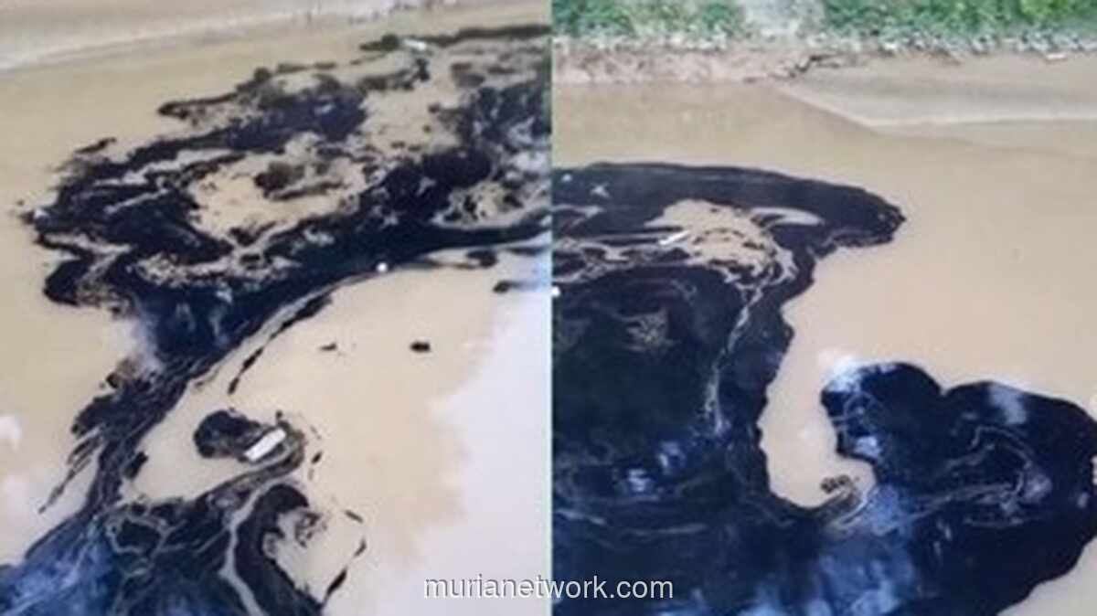 Sungai di Tarakan Tercemar Oli Bekas, PDAM Setop Produksi Air Bersih, 15.000 Pelanggan Terdampak