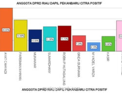 Citra Sumardany di DPRD Riau Melonjak Hampir Tiga Kali Lipat dalam Survei Terbaru LSOR