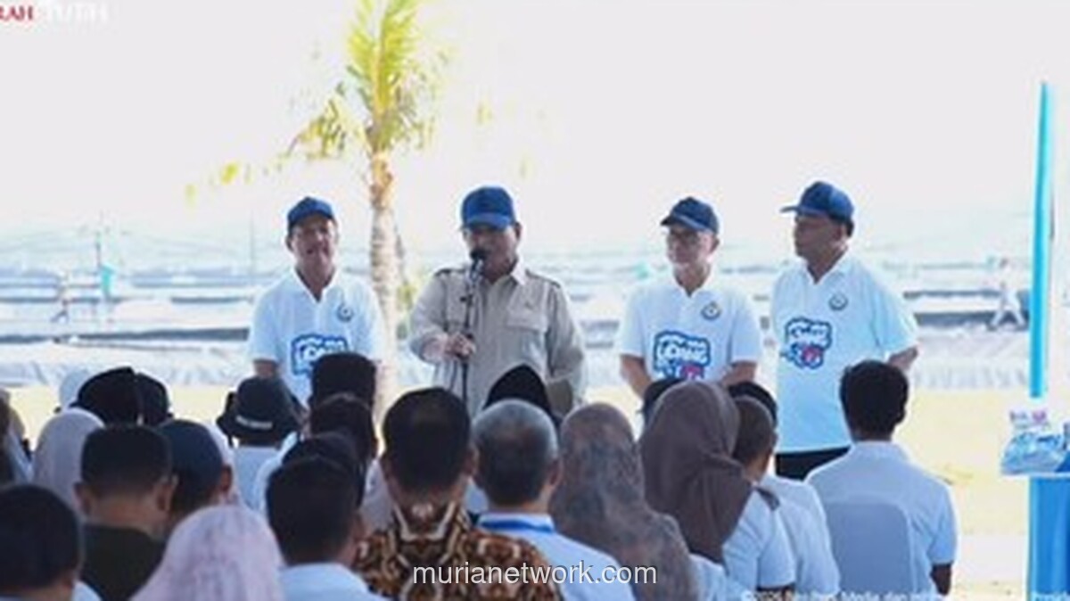 Presiden Prabowo Tinjau Panen Raya Tambak Udang di Kebumen, Sebut Produktivitasnya Capai Level Dunia