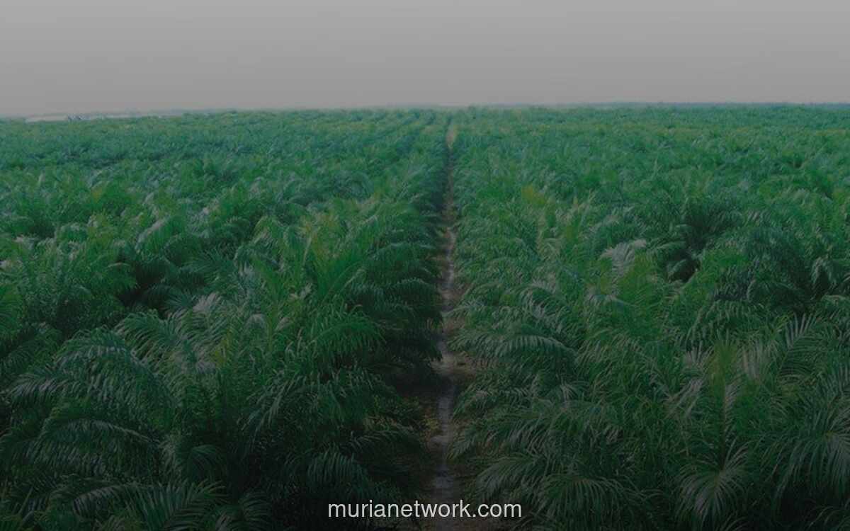 Triputra Agro Persada Bagikan Dividen Rp3,58 Triliun untuk Tahun Buku 2025, Naik 18,4 Persen