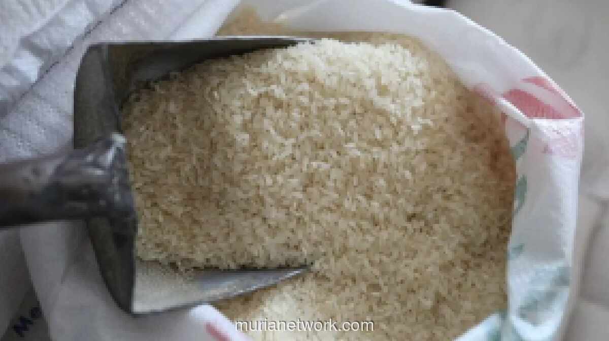 15 Ribu Ton Beras dari Tiongkok Tiba di Kuba di Tengah Krisis Bahan Bakar dan Tekanan Ekonomi