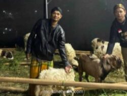 Pedagang Hewan Kurban di Bekasi Kenakan Blangkon, Padukan Dagang dan Tradisi