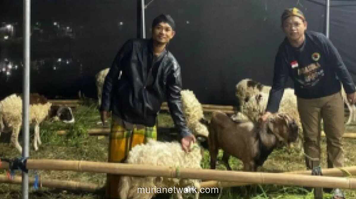 Pedagang Hewan Kurban di Bekasi Kenakan Blangkon, Padukan Dagang dan Tradisi