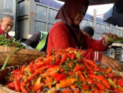 Harga Cabai Merah dan Daging Ayam Naik, Sejumlah Bahan Pokok Lainnya Justru Turun