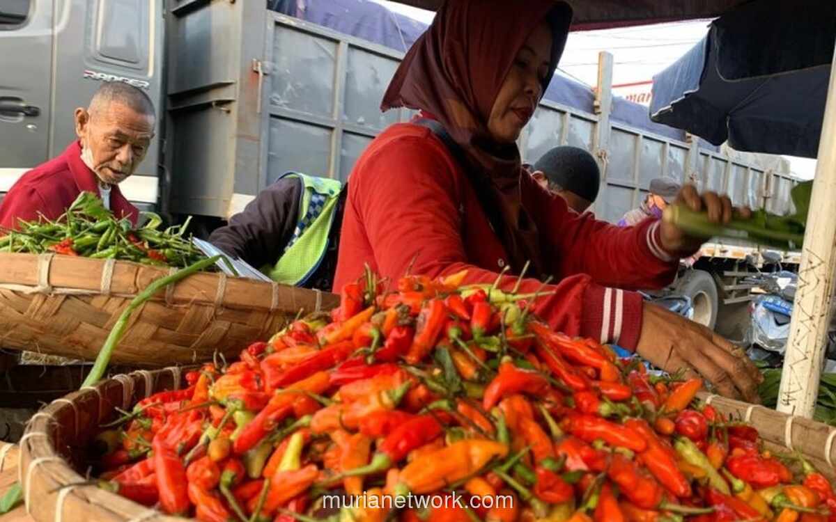 Harga Cabai Merah dan Daging Ayam Naik, Sejumlah Bahan Pokok Lainnya Justru Turun