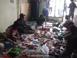 Gereja Santa Theresia Serahkan Sapi Kurban untuk Warga Lewat Rumah Singgah Hurin In