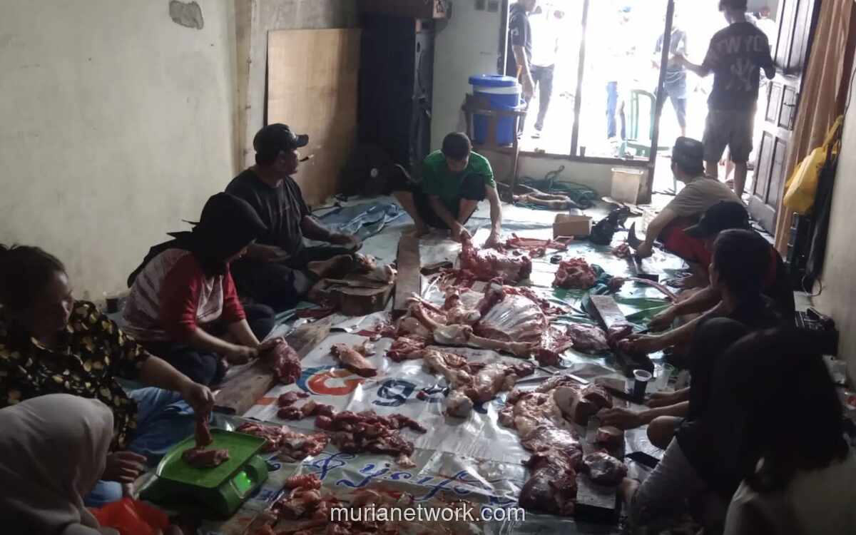 Gereja Santa Theresia Serahkan Sapi Kurban untuk Warga Lewat Rumah Singgah Hurin In