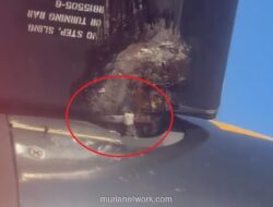 Wings Air Klarifikasi Soal Cable Tie di Baling-Baling: Bagian dari Prosedur Perawatan, Bukan Kerusakan
