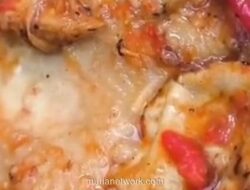 Menu Makan Bergizi Gratis di Pekalongan Ditemukan Mengandung Belatung, Dapur Umum Dievaluasi