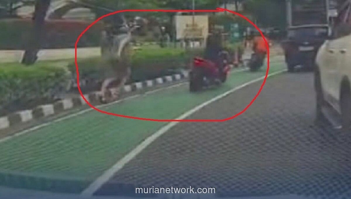 Pria Diduga WNA Jadi Korban Penjambretan di Bundaran HI, Aksi Terekam Kamera